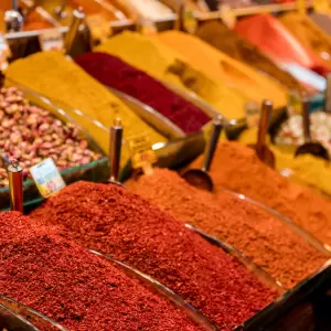 Seven spices of India—from kitchen to clinic